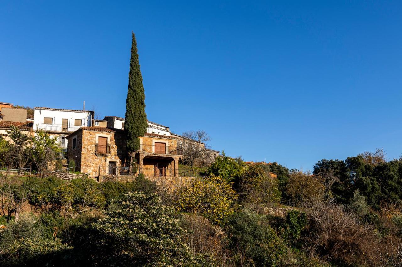 Casa Rural El Abeto Torre de Don Miguel Dış mekan fotoğraf